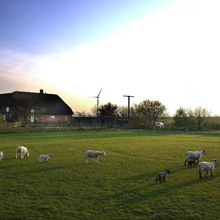 4 Am Westerdeich Rodenas